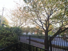 【神奈川県/川崎市多摩区堰】メゾンドール多摩川 眺望