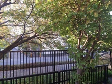 【神奈川県/川崎市多摩区堰】メゾンドール多摩川 眺望