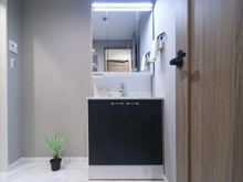 【神奈川県/川崎市多摩区堰】メゾンドール多摩川 洗面所