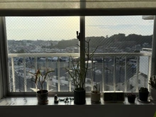 【神奈川県/横浜市神奈川区西寺尾】リミオガーデン横浜西寺尾 眺望