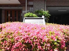 【神奈川県/横浜市港北区新吉田東】グランイーグル綱島 マンション表札