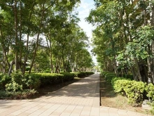 【神奈川県/横浜市鶴見区尻手】ヨコハマオールパークス　第四街区L棟　ザ・フォレスト 敷地内