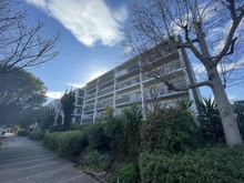 【神奈川県/横浜市港北区新吉田東】サンマンション・アトレ港北綱島 外観