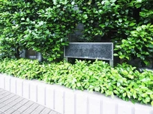 【神奈川県/川崎市中原区今井南町】ハウス武蔵小杉 マンション表札