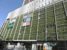 【神奈川県/川崎市中原区小杉町】プラウドタワー武蔵小杉 武蔵小杉東急スクエア（現地より約320m）