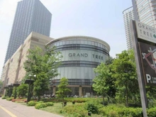 【神奈川県/川崎市中原区小杉町】プラウドタワー武蔵小杉 グランツリー武蔵小杉（現地より約480m）