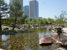 【東京都/世田谷区野毛】アイディーコート二子玉川 二子玉川公園（現地より約356m）