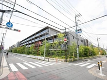 【神奈川県/川崎市中原区今井西町】グランドメゾン武蔵小杉の杜 外観