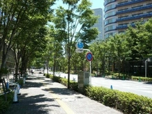 【神奈川県/川崎市中原区新丸子東】パークシティ武蔵小杉ステーションフォレストタワー 前面道路