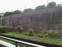 【神奈川県/川崎市高津区久地】セボンコリネールエストエール 眺望