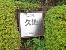 【神奈川県/川崎市多摩区長尾】コスモ久地 マンション表札