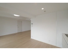 【神奈川県/川崎市幸区南幸町】ハイラーク川崎 LDK