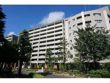 【神奈川県/川崎市中原区上小田中】ザ・クレストシティ　サウスコート 外観