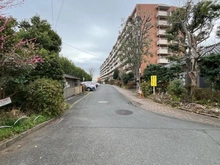 【東京都/国分寺市泉町】西国分寺史跡通り2号棟 前面道路