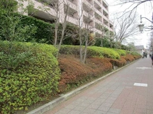 【東京都/国立市中】クリオレミントンヴィレッジ国立 前面道路