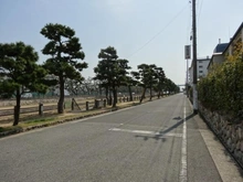 【兵庫県/芦屋市平田町】プラウド芦屋平田町 前面道路