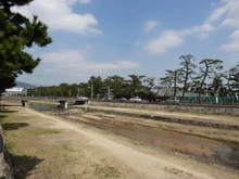 【兵庫県/芦屋市平田町】プラウド芦屋平田町 芦屋川（現地より約20m）