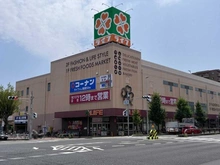 【兵庫県/神戸市東灘区森南町】セレッソコート甲南森南町 ライフ本山店（現地より約280m）