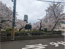 【兵庫県/神戸市東灘区御影郡家】グランヴィ御影郡家 兼安公園（現地より約200m）
