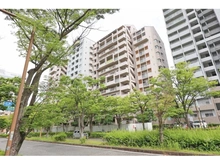 【兵庫県/神戸市東灘区向洋町中】RICイーストコート4番街9番館 外観