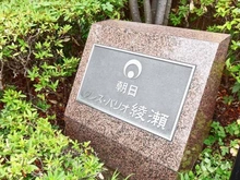 【東京都/足立区綾瀬】朝日クレス・パリオ綾瀬 マンション表札