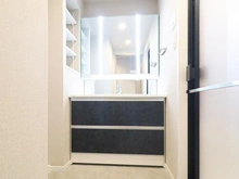 【東京都/荒川区南千住】ウィルローズ三ノ輪 洗面所