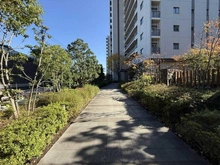 【東京都/足立区小台】シャリエ小台リバーフォート アプローチ