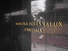 【東京都/足立区梅田】ミルーナヒルズエグラス マンション表札