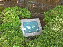 【東京都/葛飾区金町】クレストコート金町 マンション表札