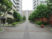 【東京都/足立区新田】アクアテラ ブロード・スクエア 前面道路