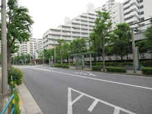 【東京都/足立区新田】アクアテラ ブロード・スクエア 前面道路