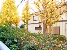 【東京都/江戸川区松江】松江マンション 眺望