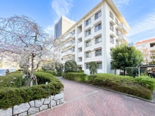 【東京都/江戸川区清新町】シティコープ清新 14号棟 外観