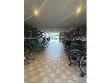 【東京都/江戸川区南葛西】南葛西グリーンホームズII 駐輪場