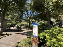 【東京都/江戸川区東葛西】コスモ葛西アステア 東葛西どんぐり公園（現地より約40m）