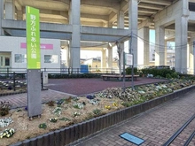 【埼玉県/さいたま市南区鹿手袋】コスモ武蔵浦和パークステージ  野方ふれあい公園（現地より約30m）：
