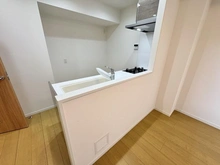 【埼玉県/さいたま市南区鹿手袋】ライオンズステーションプラザ中浦和別所沼公園 キッチン