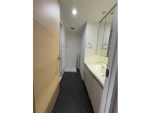 【埼玉県/さいたま市南区内谷】ゼファー武蔵浦和グランリブス 洗面所