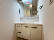 【埼玉県/さいたま市緑区東浦和】コスモ東浦和 洗面室