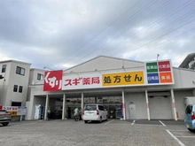 【埼玉県/さいたま市南区白幡】マイキャッスル武蔵浦和 スギ薬局 白幡店（現地より約60m）