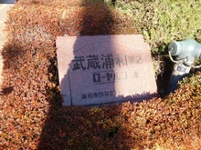 【埼玉県/さいたま市南区四谷】武蔵浦和第弐ローヤルコーポ マンション表札