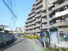 【埼玉県/戸田市本町】コスモ戸田公園ロイヤルフォルム 前面道路