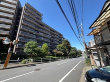 【埼玉県/ふじみ野市大井】コスモふじみ野 イーストフォーラム 前面道路