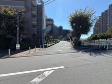 【埼玉県/ふじみ野市大井】コスモふじみ野 イーストフォーラム 前面道路