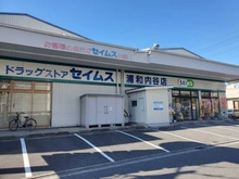 【埼玉県/さいたま市南区沼影】エステート浦和 5号棟 ドラッグセイムス浦和内谷店（現地より約450m）