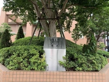 【東京都/世田谷区野沢】ヴィルヌーブタワー駒沢 マンション表札