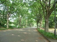 【東京都/世田谷区上馬】三軒茶屋南パークハウス 駒沢オリンピック公園（現地より約1,490m）