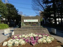 【東京都/世田谷区太子堂】ダイナシティ三宿 世田谷公園（現地より約240m）