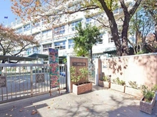 【東京都/世田谷区三軒茶屋】ニューウェルハイツ第2三軒茶屋  区立三軒茶屋小学校（現地より約280m）