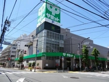 【東京都/世田谷区若林】ピアース三軒茶屋  サミットストア　代沢十字路店（現地より約480m）
